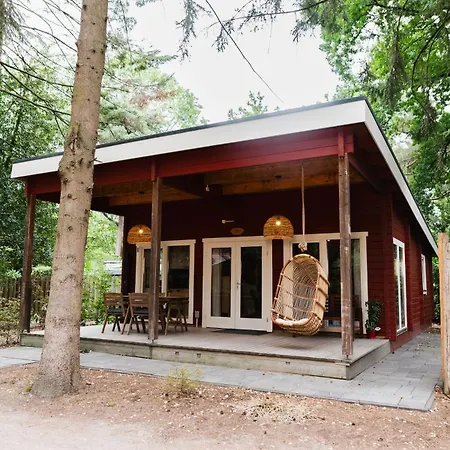Boshuisje Met Veranda & Prive Sauna In Het Holiday home *