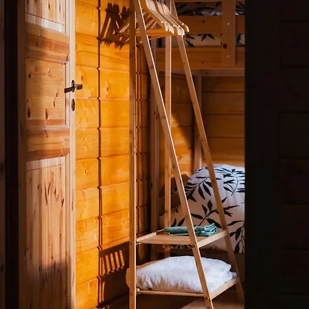 Boshuisje Met Veranda & Prive Sauna In Het Holiday home