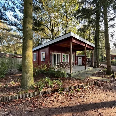Boshuisje Met Veranda & Prive Sauna In Het Holiday home