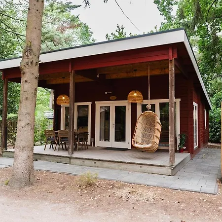 Boshuisje Met Veranda & Prive Sauna In Het Diessen