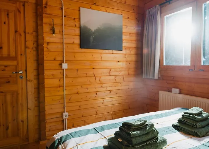 Boshuisje Met Veranda & Prive Sauna In Het