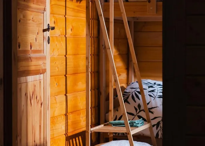 Boshuisje Met Veranda & Prive Sauna In Het Holiday home