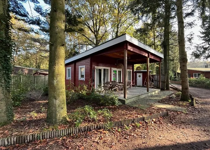 Boshuisje Met Veranda & Prive Sauna In Het Holiday home